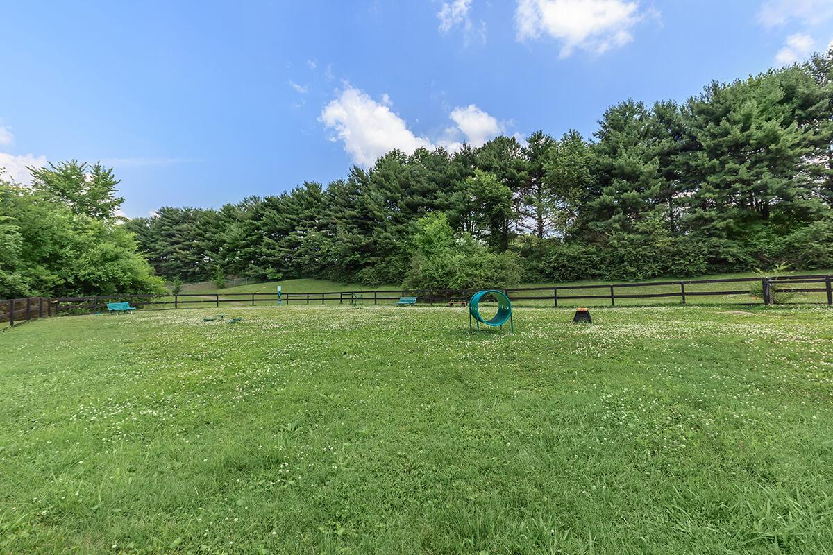 Chelsea Place Image 53