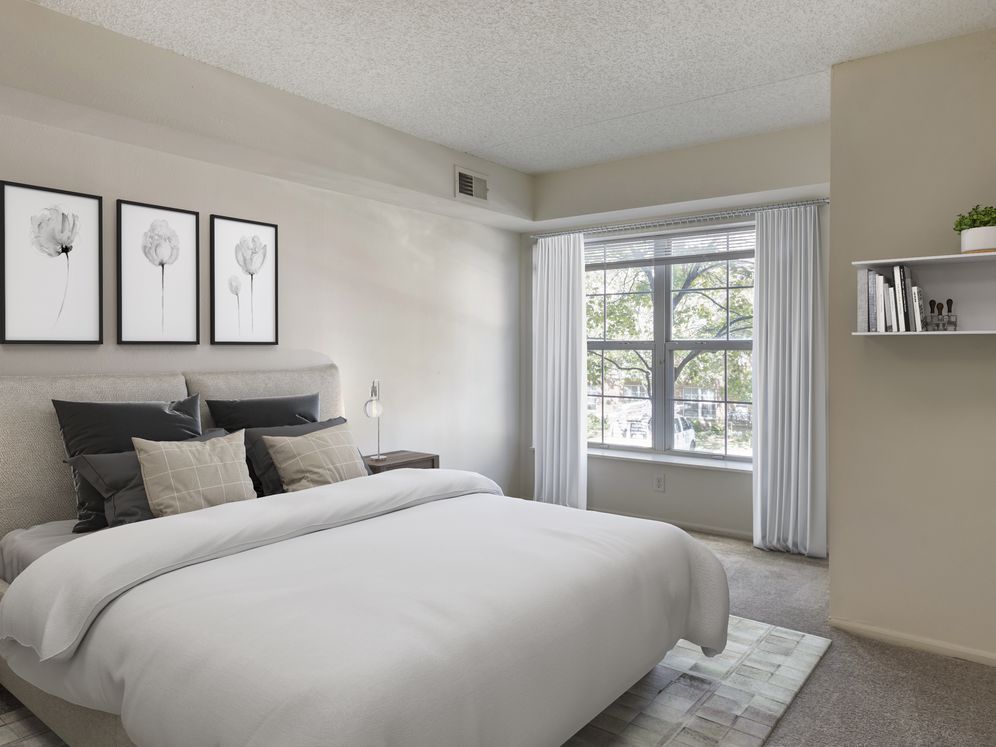 Avalon Cove Image 3