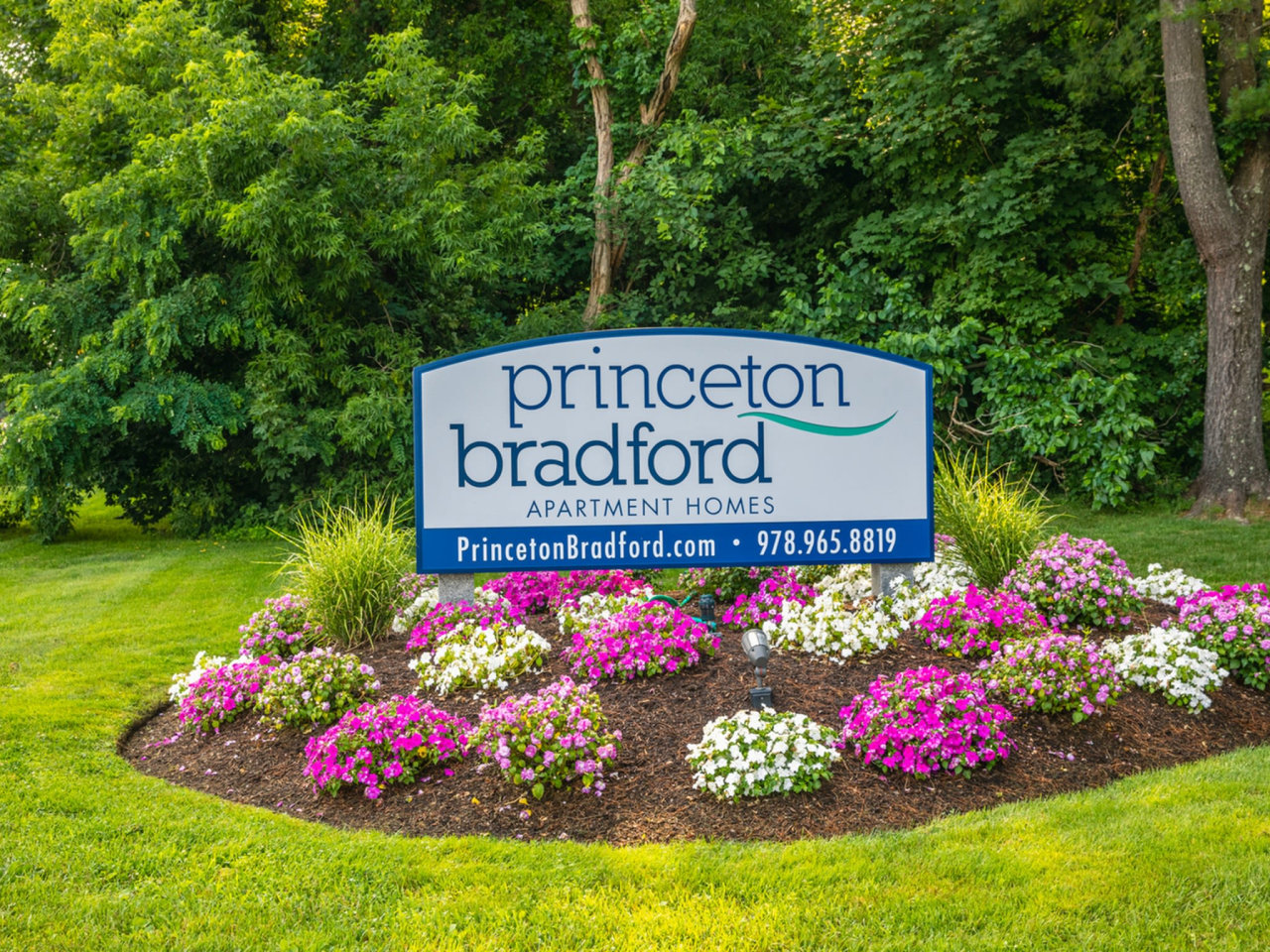 Princeton Bradford Image 28