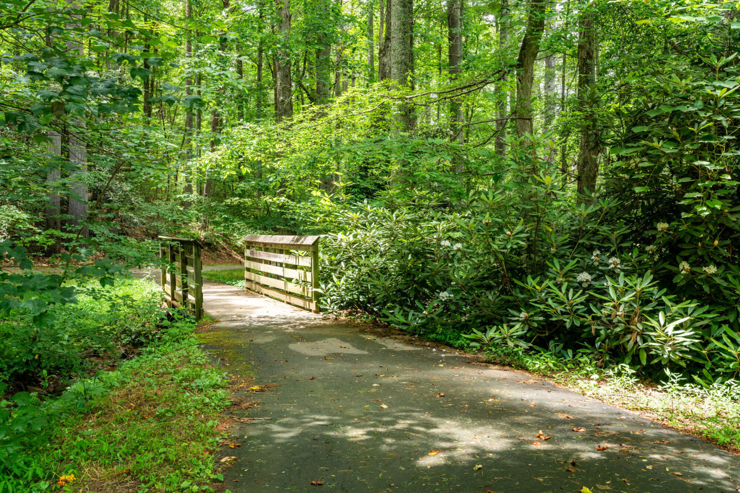 Reserve at Biltmore Park Image 19