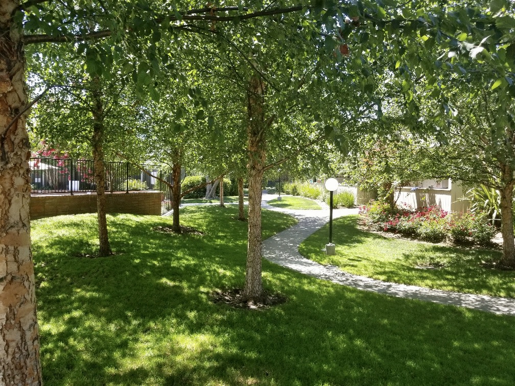 Lakeview Apartments Image 30