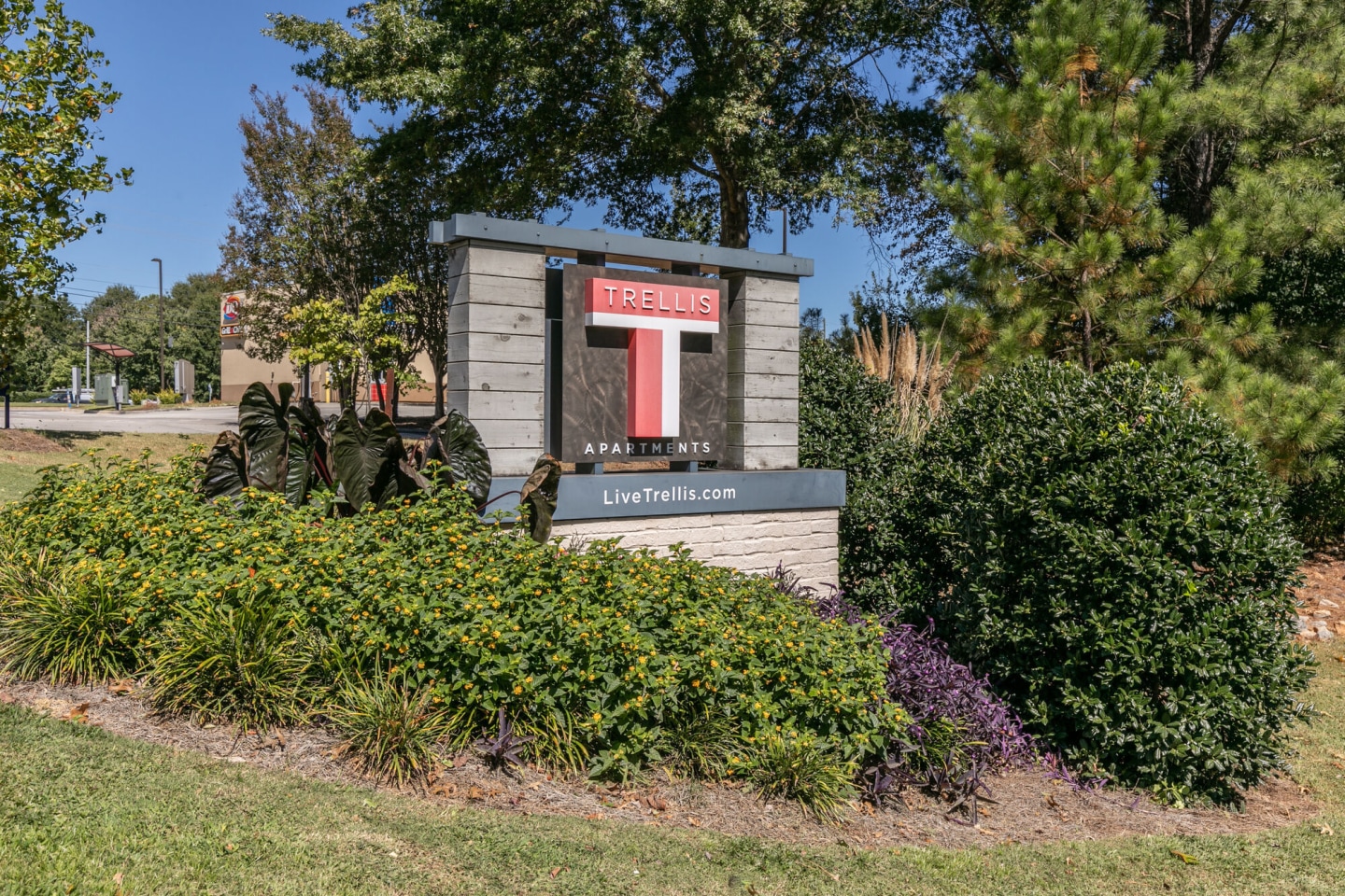 Trellis Image 29