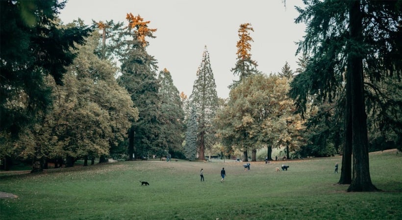 Anthem PDX Image 36