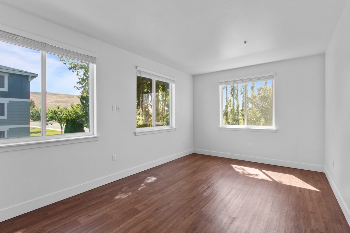Regency Park Apartments at Queensgate Image 4