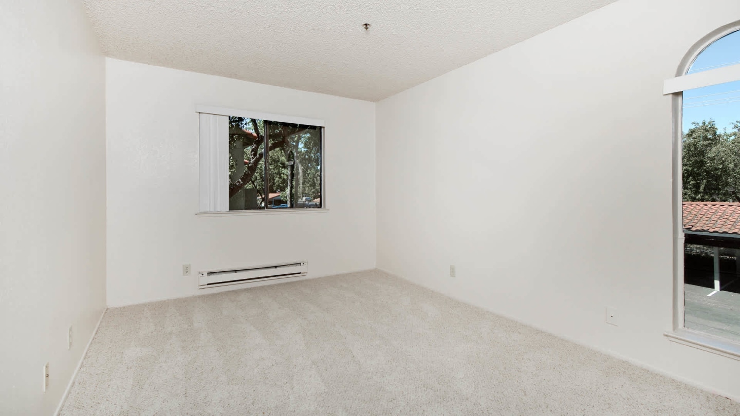 Skylark Image 15