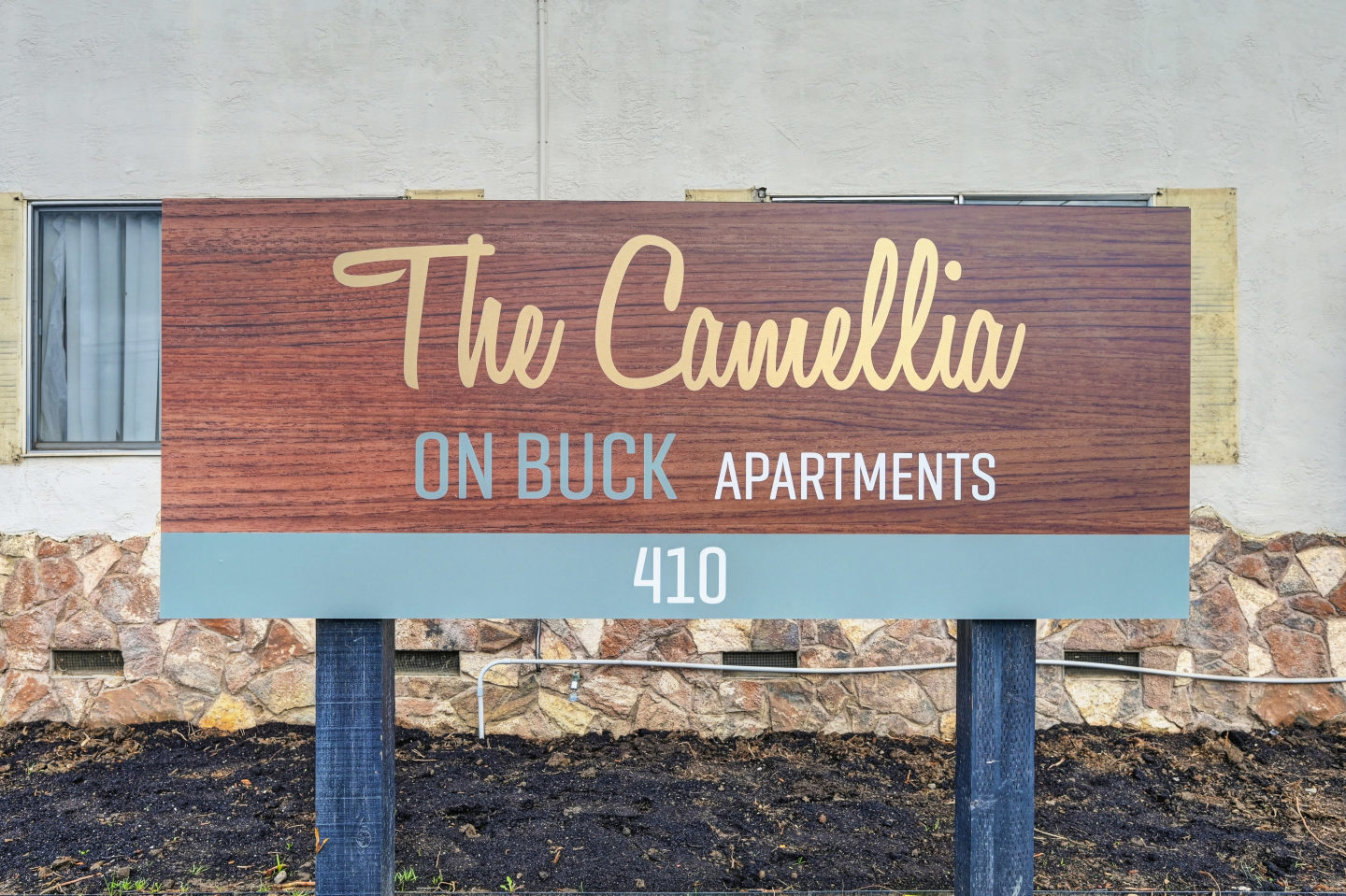 Camellia on Buck Image 21