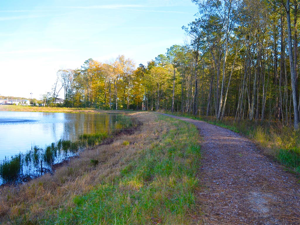 Carillon Woods Image 29