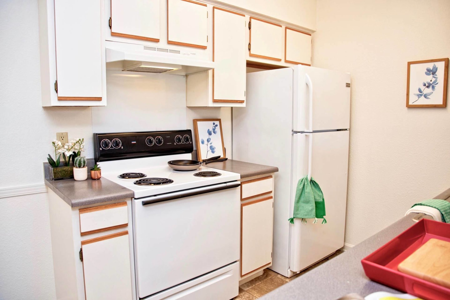 Affordable Housing - Crowne Forest Image 4