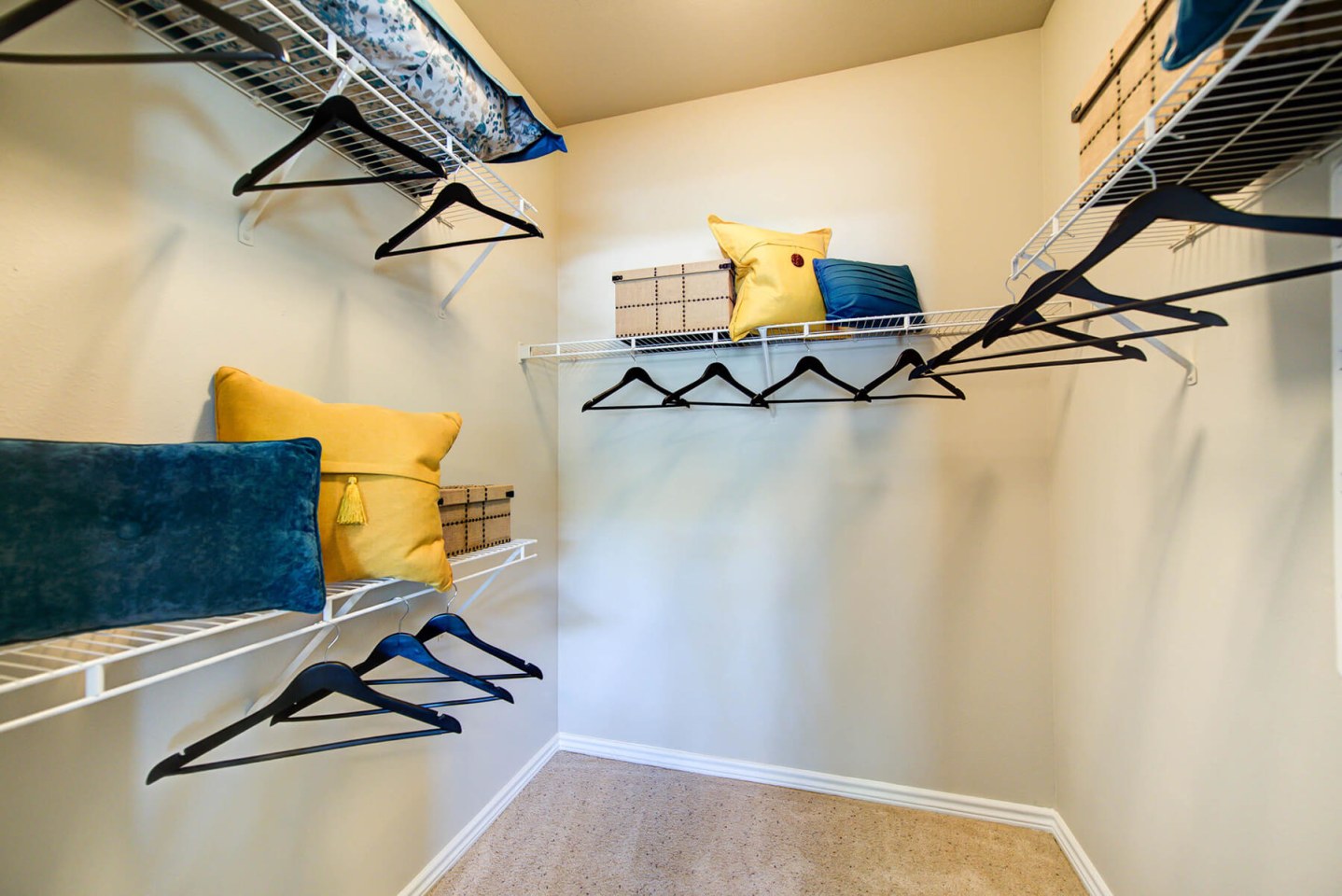 Callista Hill Country Apartments Image 11