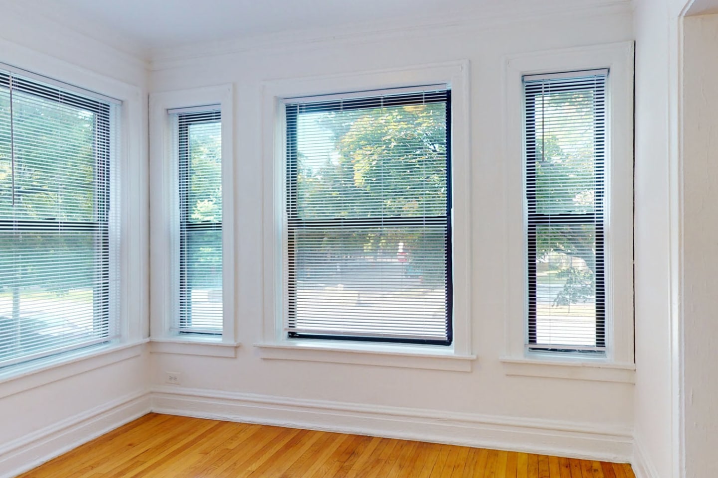 1101 E. Hyde Park Boulevard Image 3