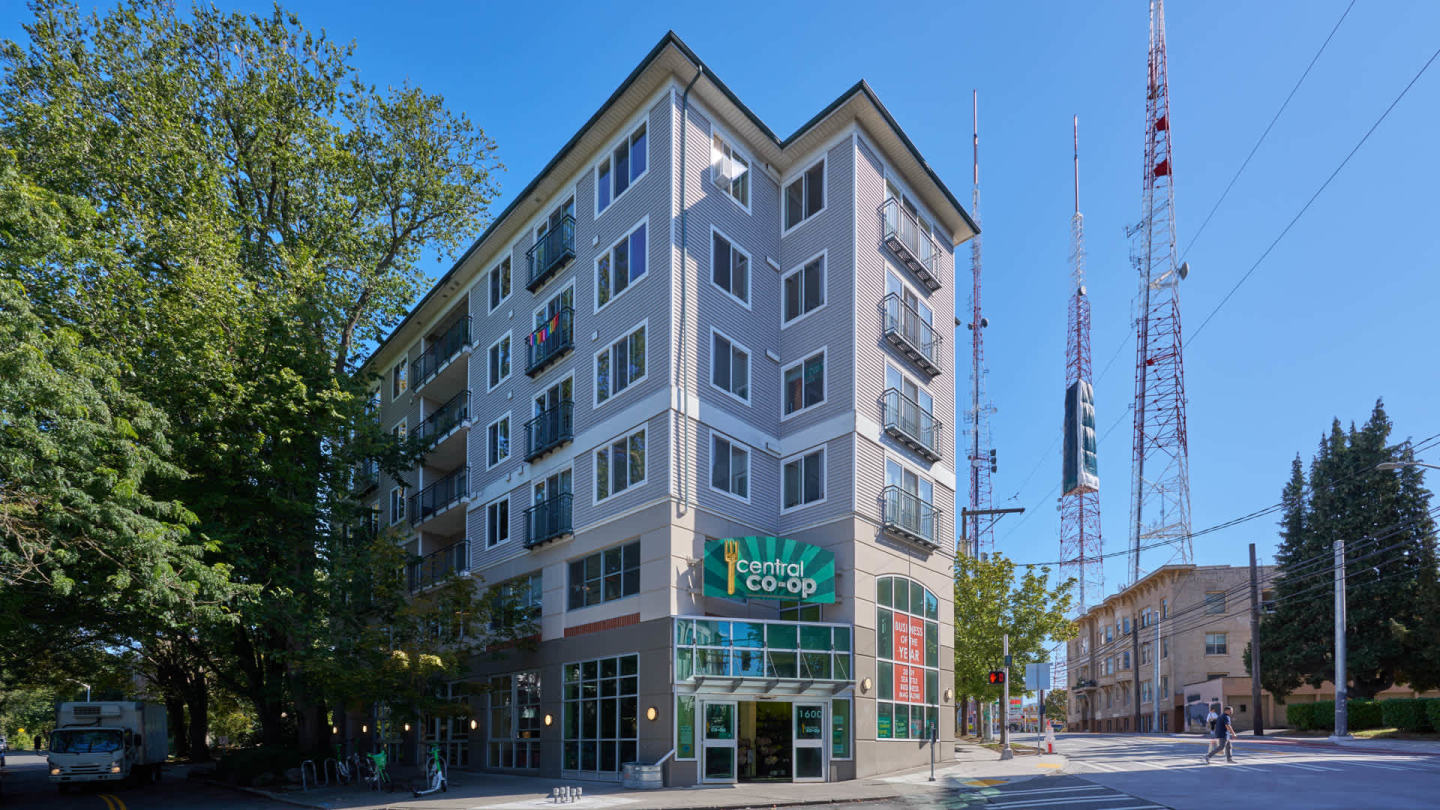 The Pearl Image 18