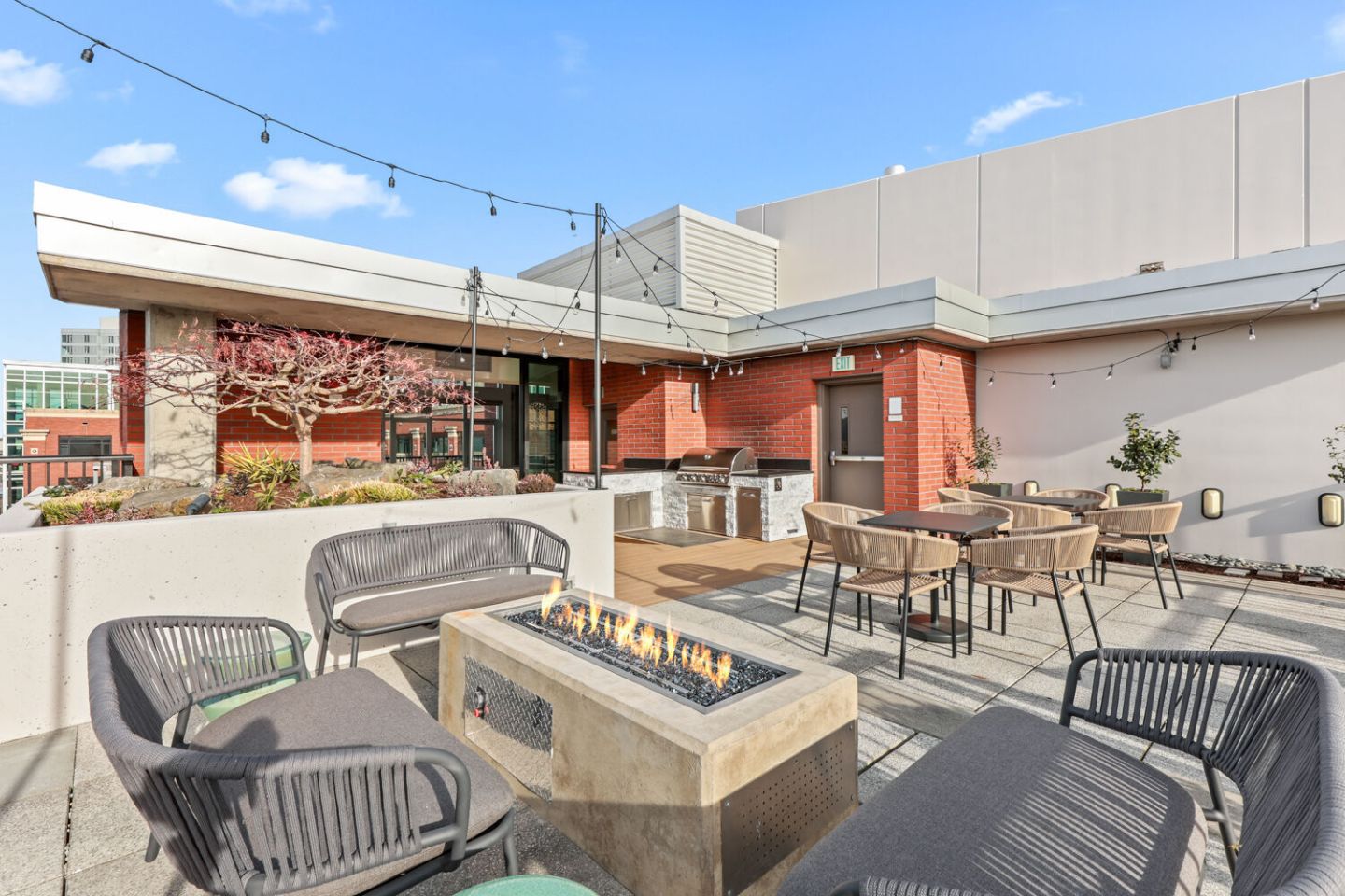 Asa Flats and Lofts Image 51