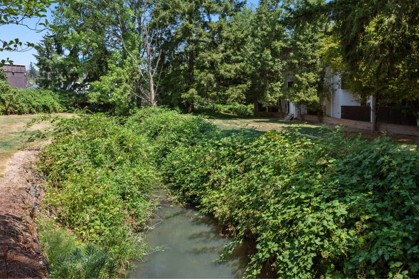Montclair Terrace Image 8