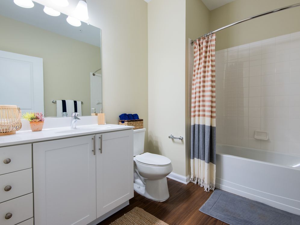Avalon Somers Image 4