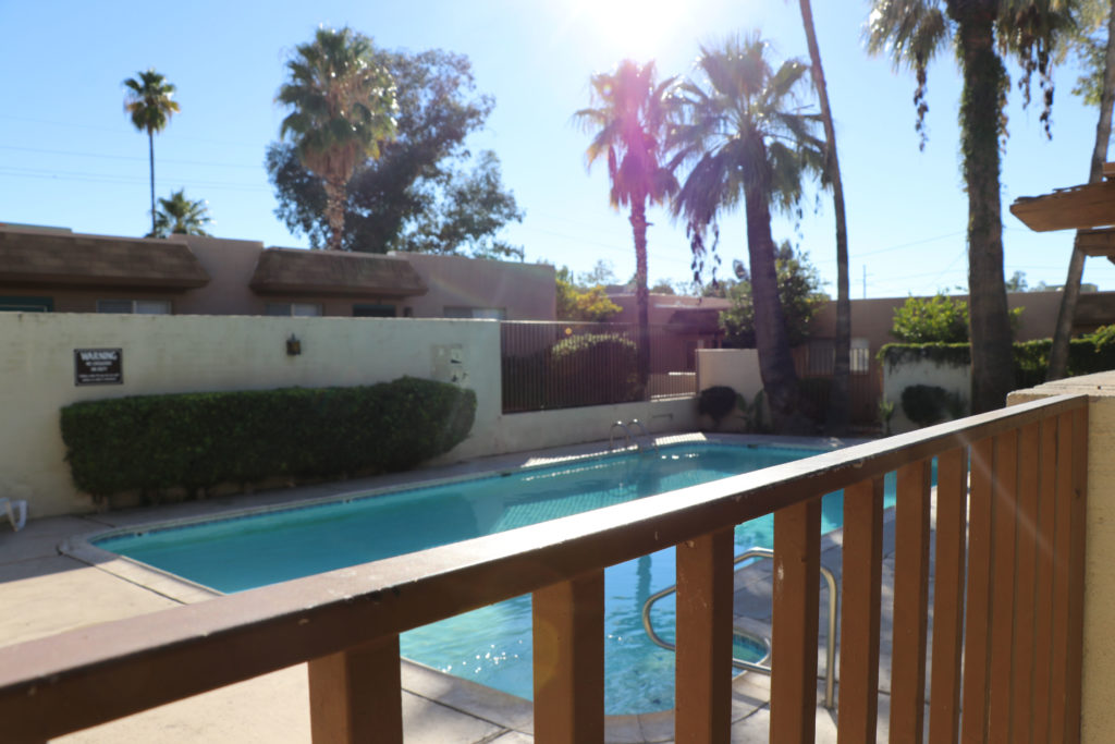 Palm Garden Image 14