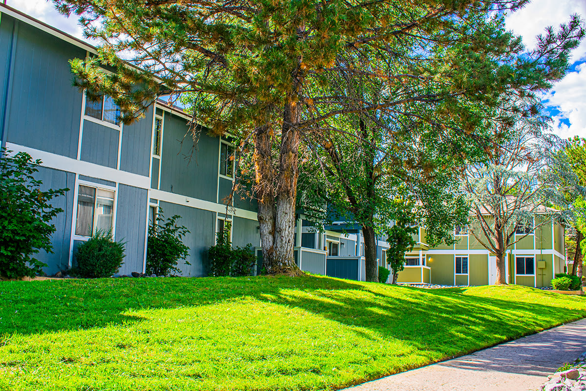 Village of the Pines Image 5