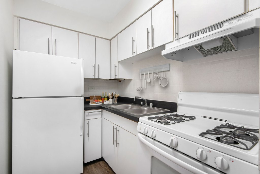 536 West Addison Image 13