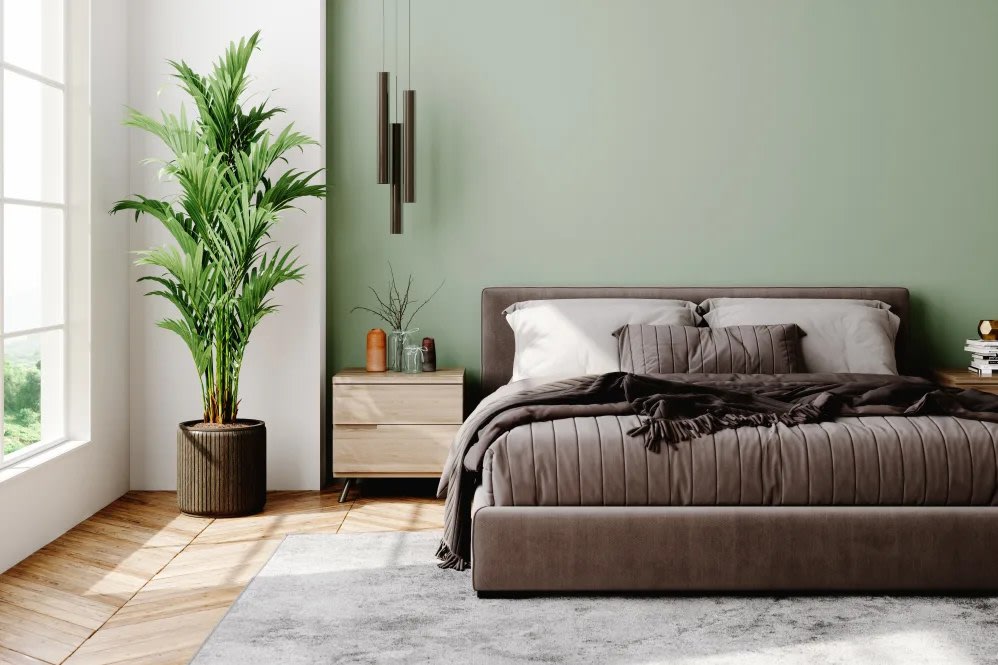 The Shockoe Collection Image 4