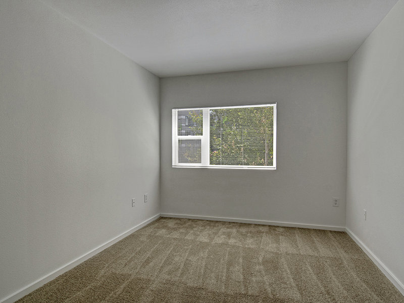 Commons Image 5