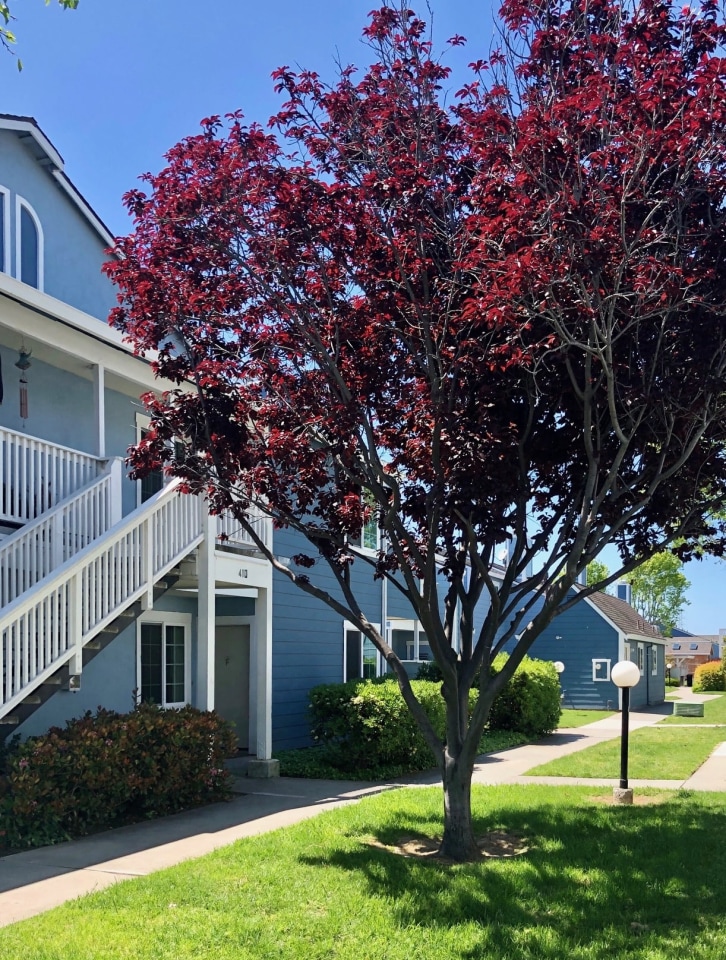 Mariner Village Image 15