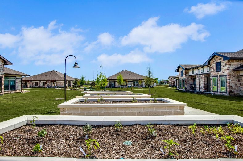 Senior Housing - Palladium Van Alstyne Image 17