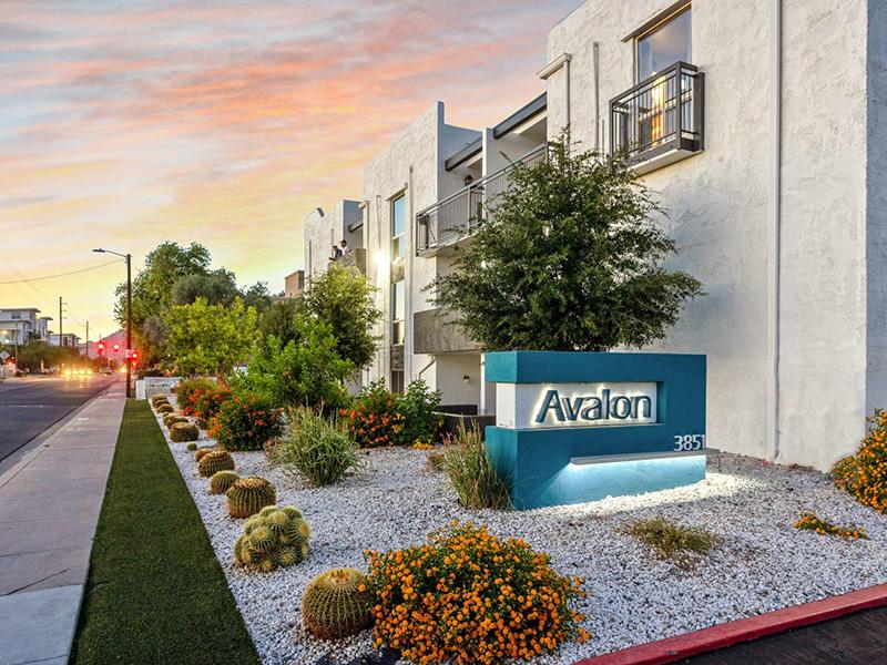Avalon Image 26