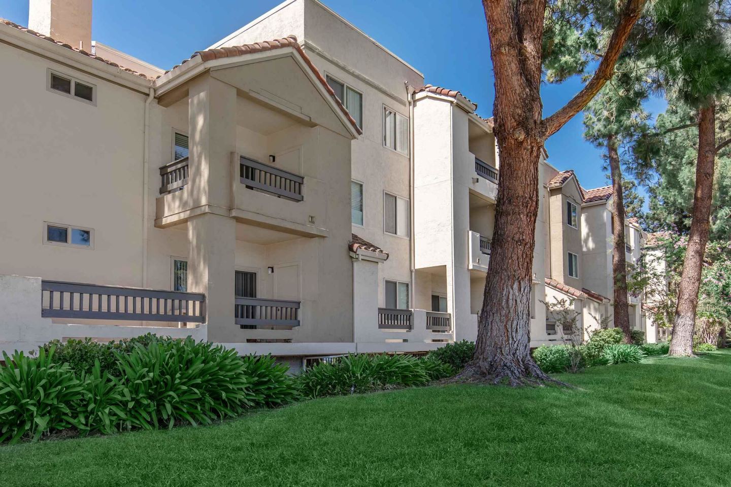 Paloma Vista Apartment Homes Image 35