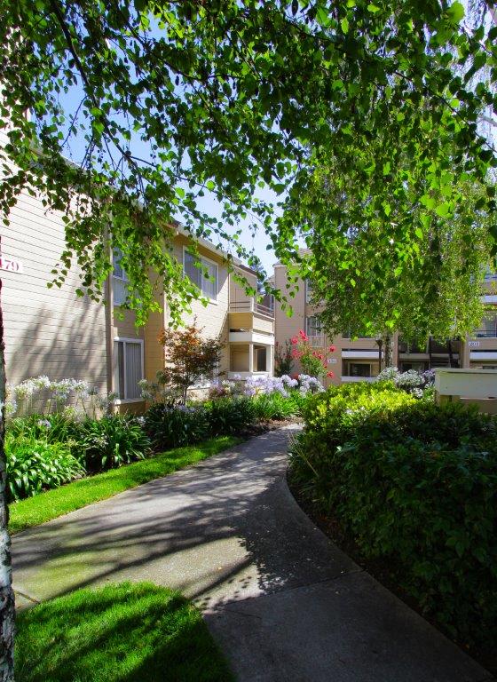 Arcadian Apartments Image 9