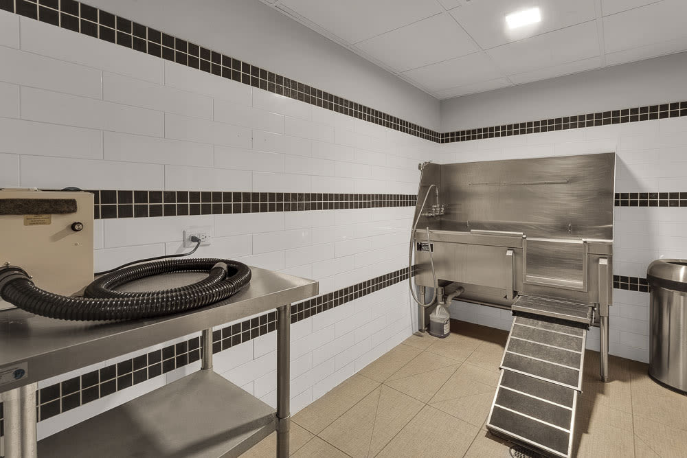 1044 Downing Image 19