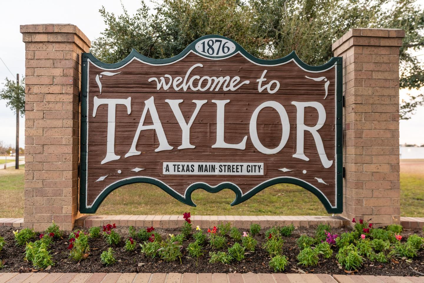 Mihir Taylor Image 4
