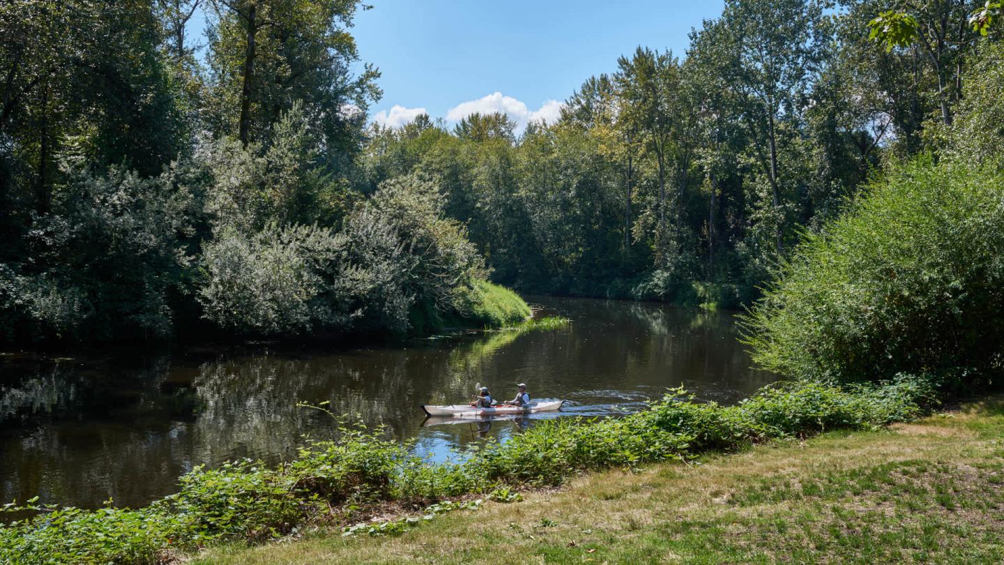 Ivorywood Image 40