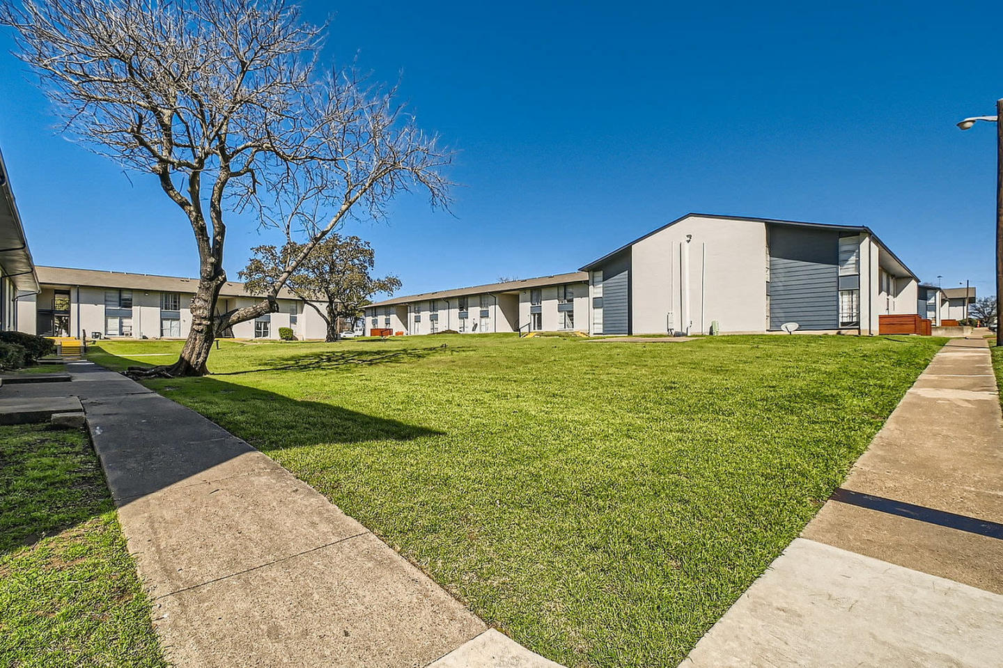 The Courtland Image 50