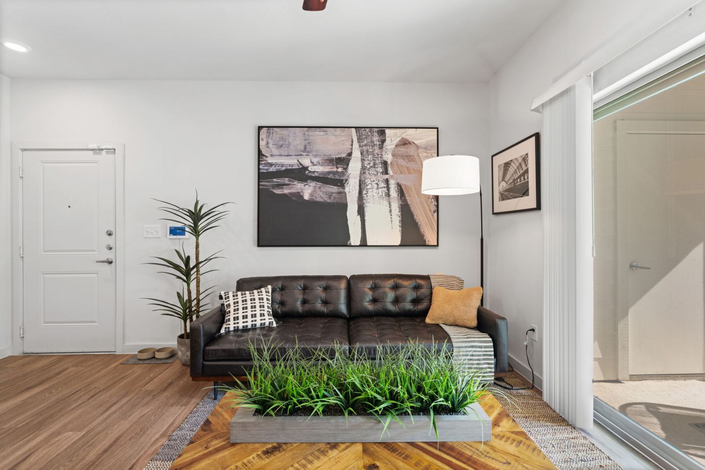 Water Oak Image 31