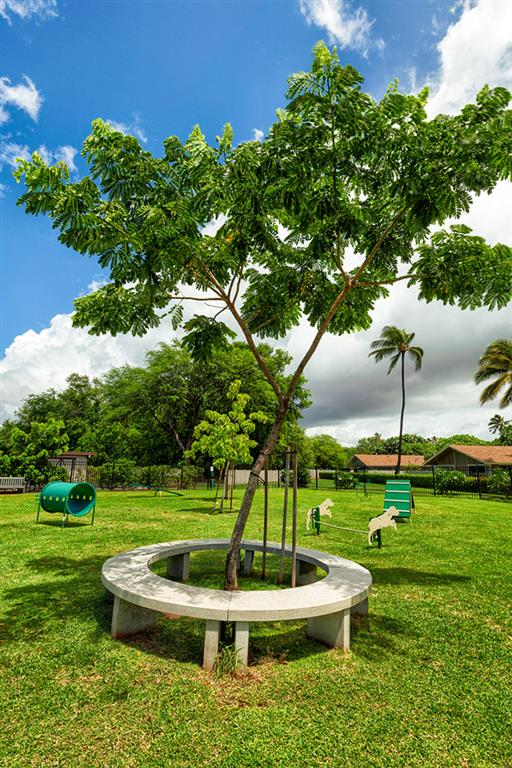 Kapilina Beach Homes Image 49