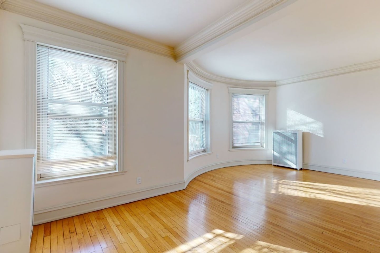5623 S. Dorchester Image 6