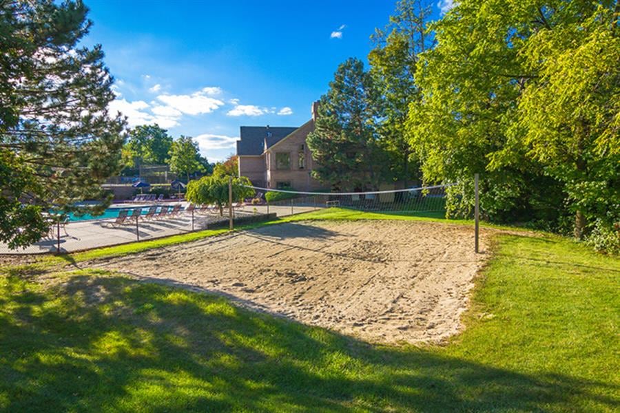 Saddle Creek Image 5