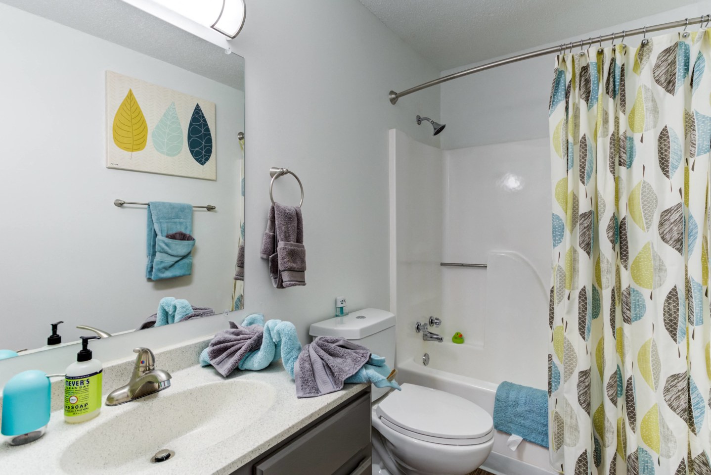 Twelve 501 Apartment Homes Image 11