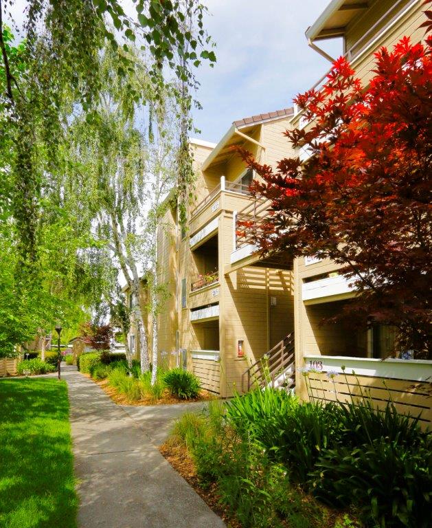 Arcadian Apartments Image 14