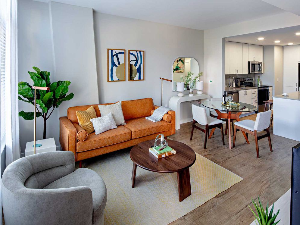 Avalon 555 President Image 18