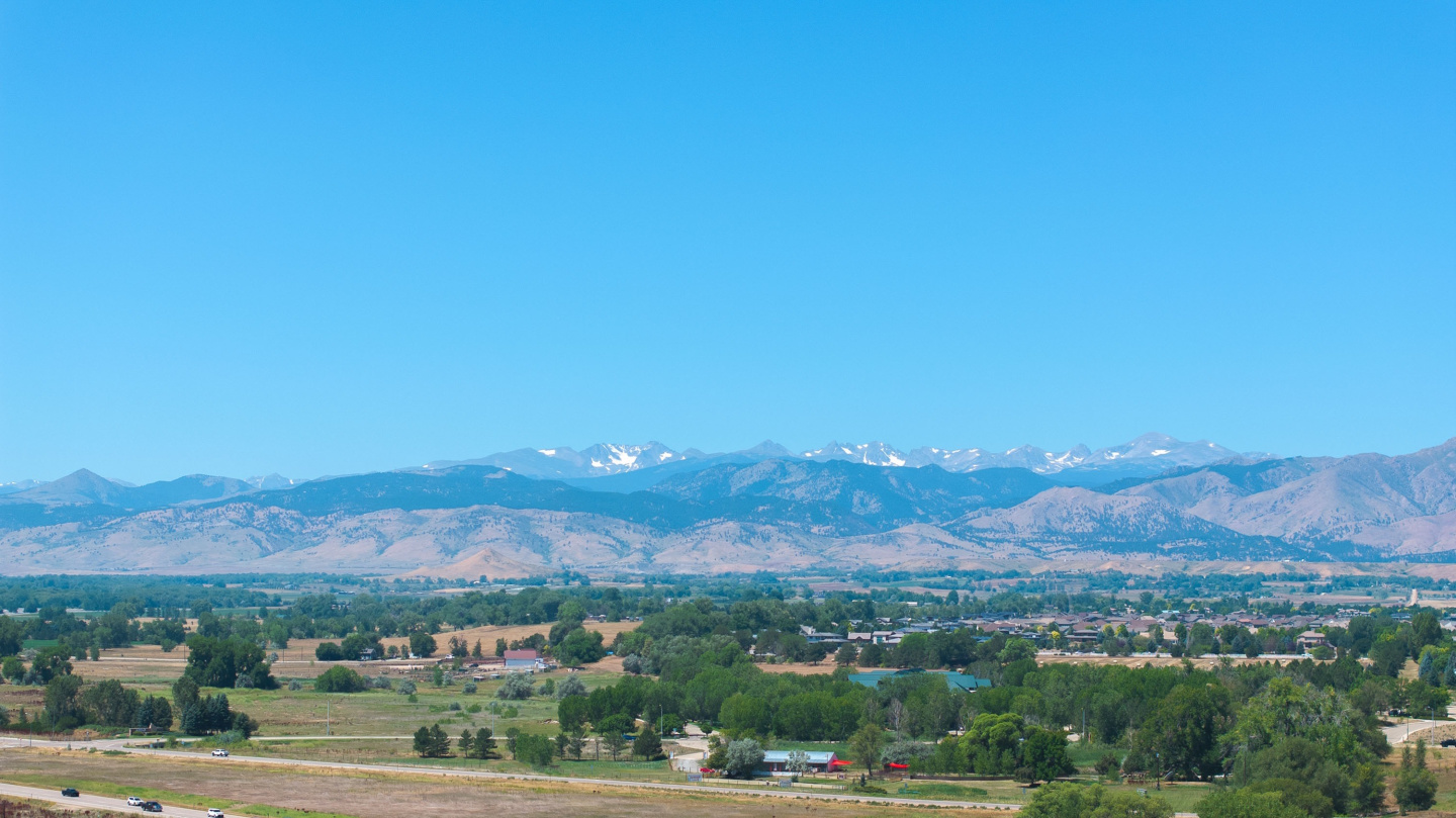 Lupine Longmont Image 5