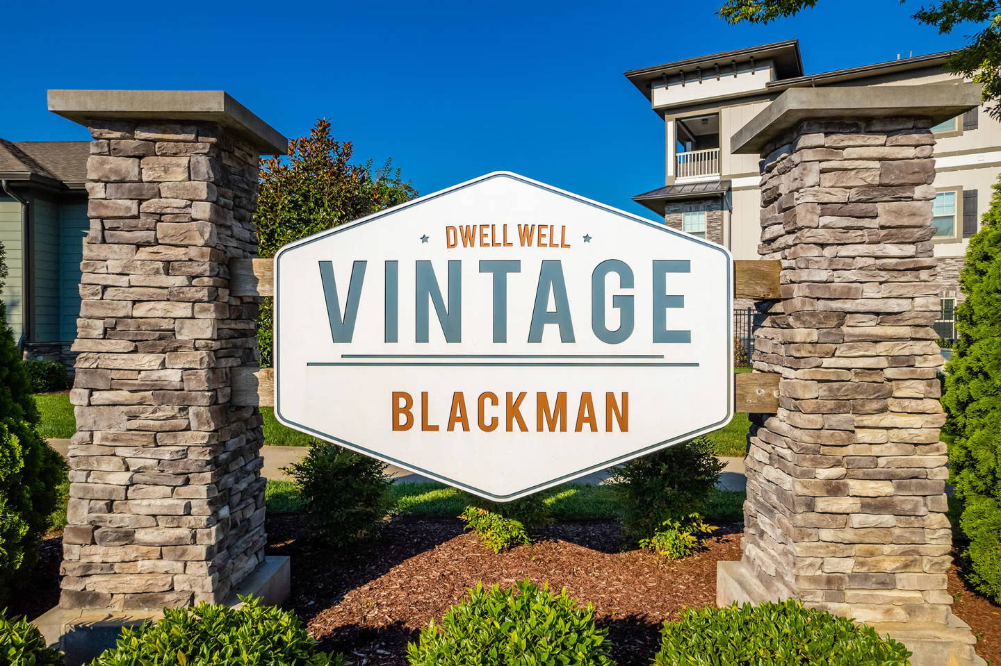 Vintage Blackman Image 2