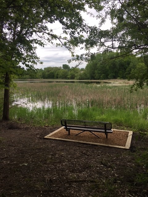 The Woodlands of Minnetonka Image 4