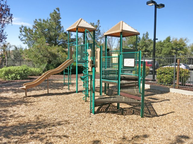 Pinnacle at Galleria Luxury Apartments Image 12