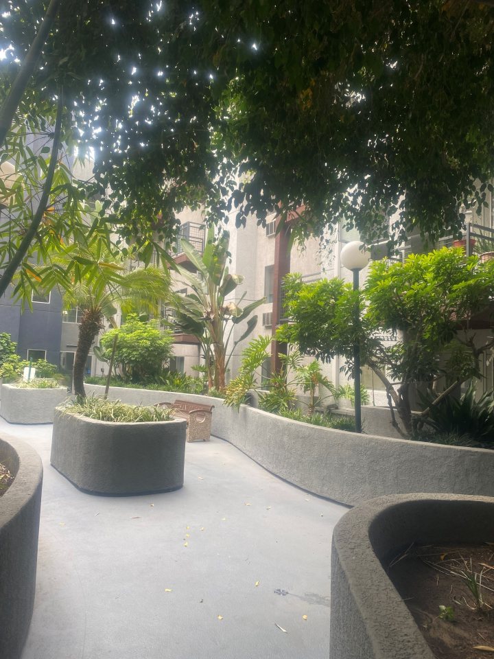 San Lucas Apartments Image 2