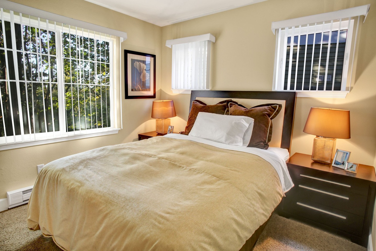 Regency Woods Apartment Homes Image 11