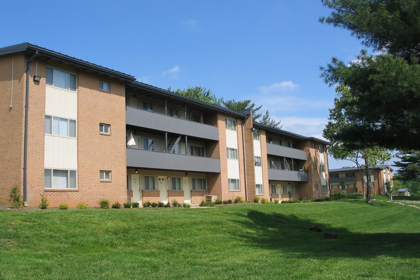 Windsor Forest Image 8