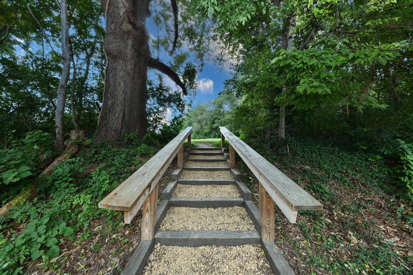 Park on Country Club Image 21