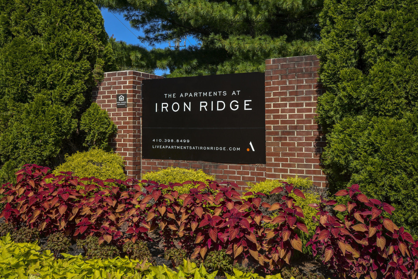 Iron Ridge Image 6