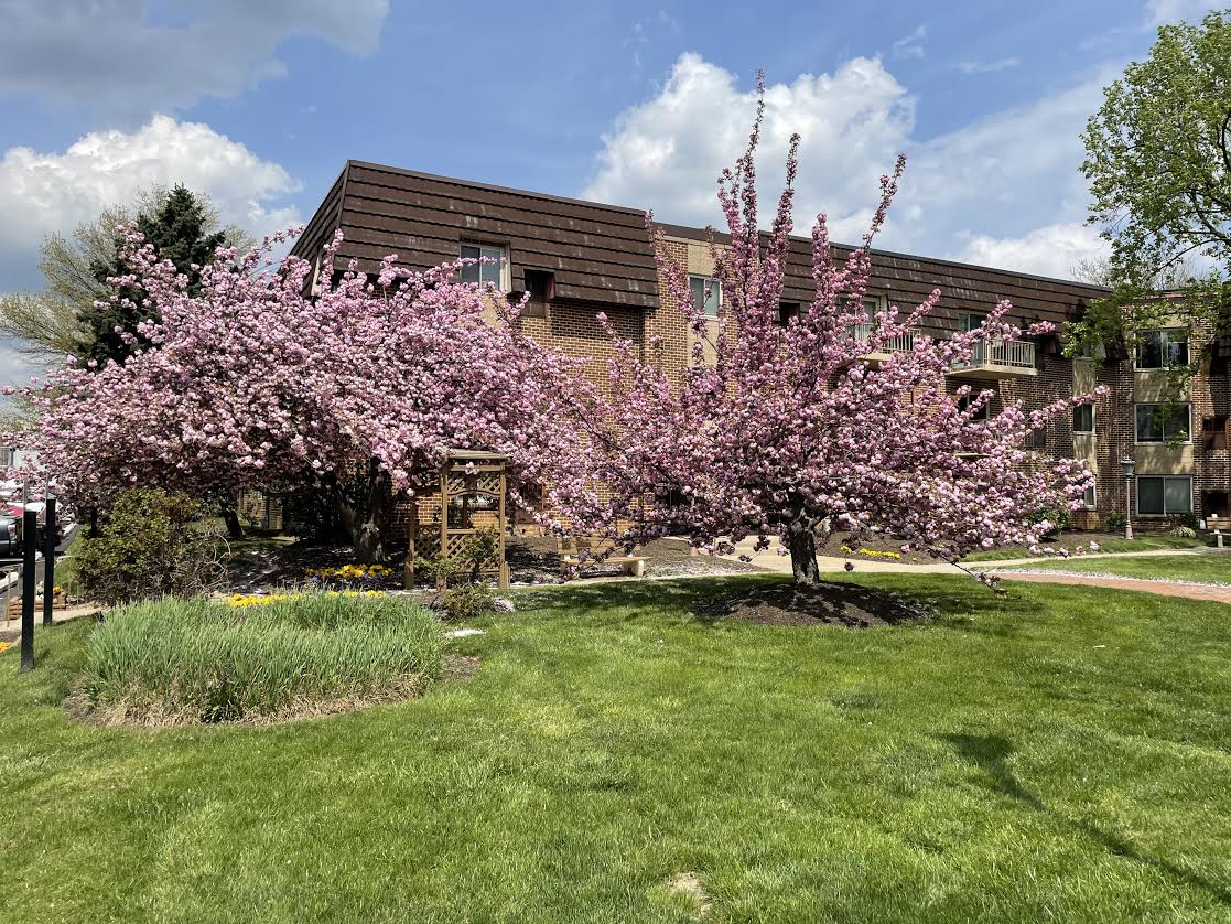 Fountain Gardens Image 12