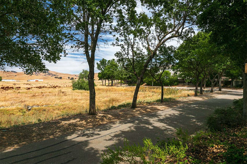 MaraLisa Meadows Image 16